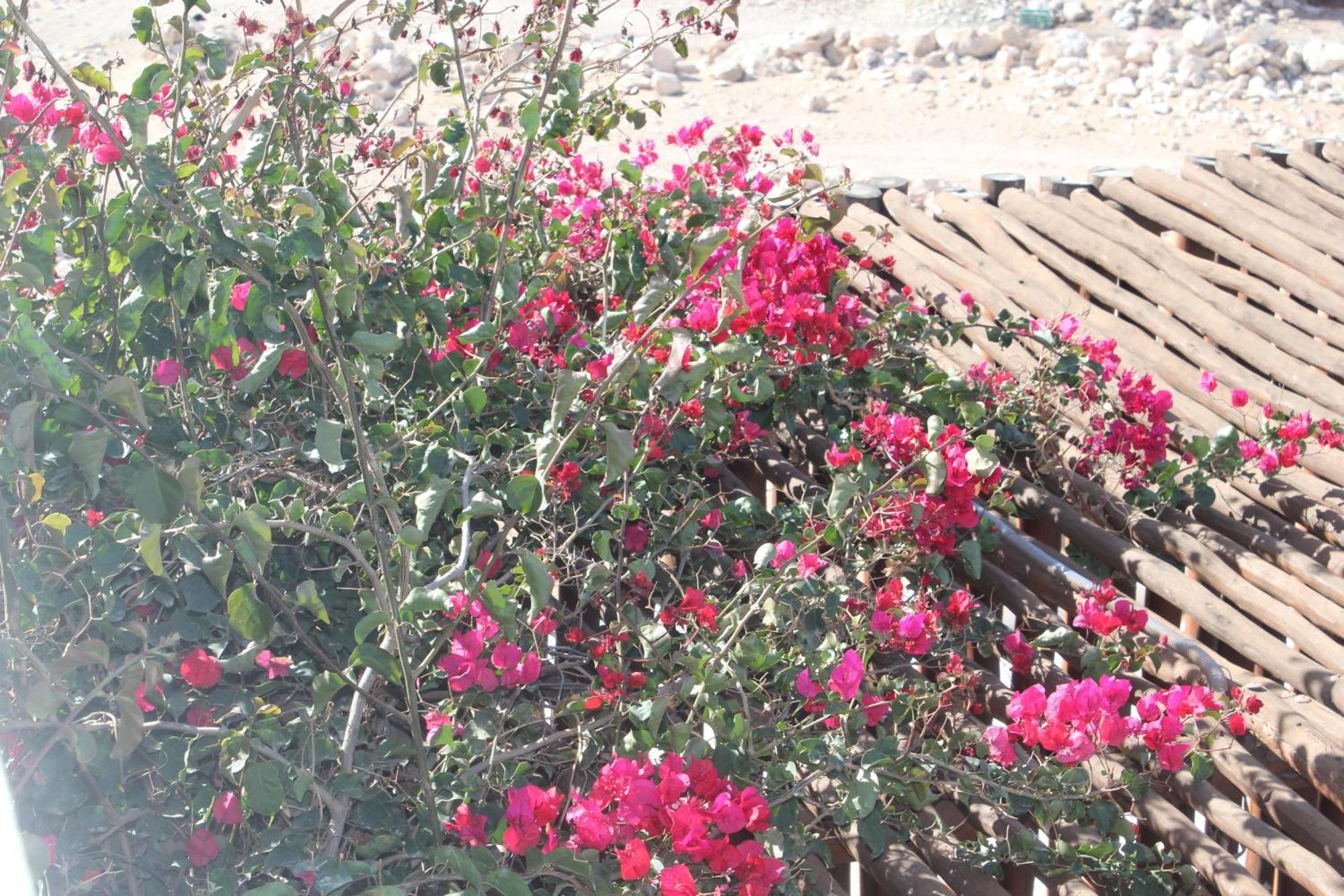 La Maison Des Vagues Sidi Kaouki Exteriör bild